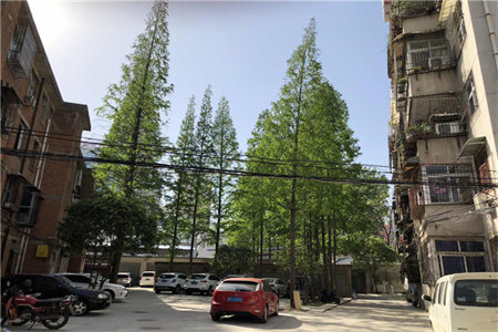 东升龙华园C区2室1厅1卫70㎡带付房